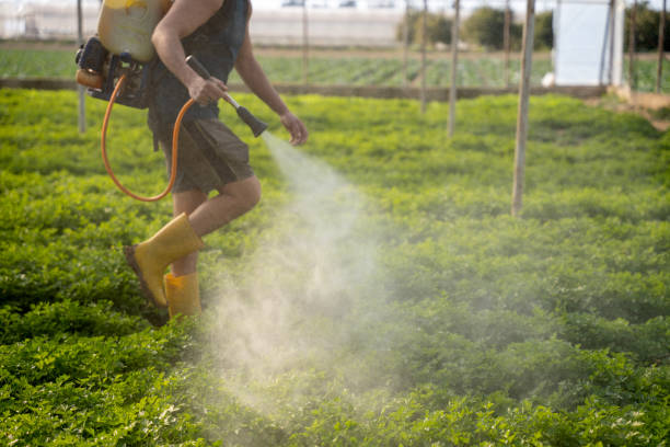 Best Affordable Pest Control Services  in Enterprise, NV