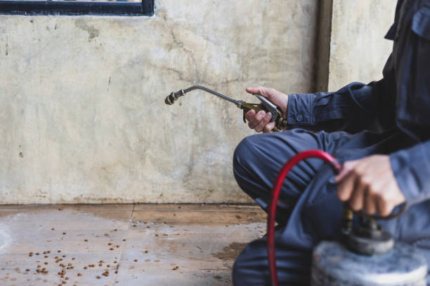 Best Mosquito Control Services  in Enterprise, NV